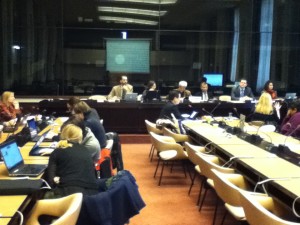 国連防災会議 障がい者分科会（